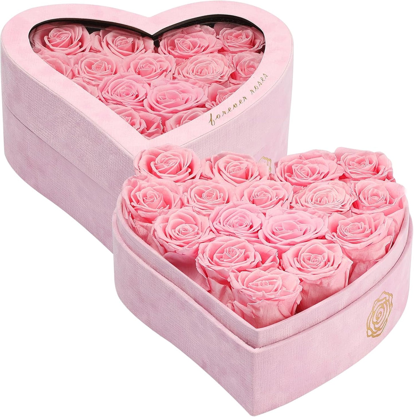 Lot de 16 roses éternelles dans une boîte en forme de cœur au design élégant et incurvé. Ces roses préservées de qualité A sont soigneusement sélectionnées pour leur beauté durable. Parfaites pour offrir en cadeau lors d'occasions spéciales.