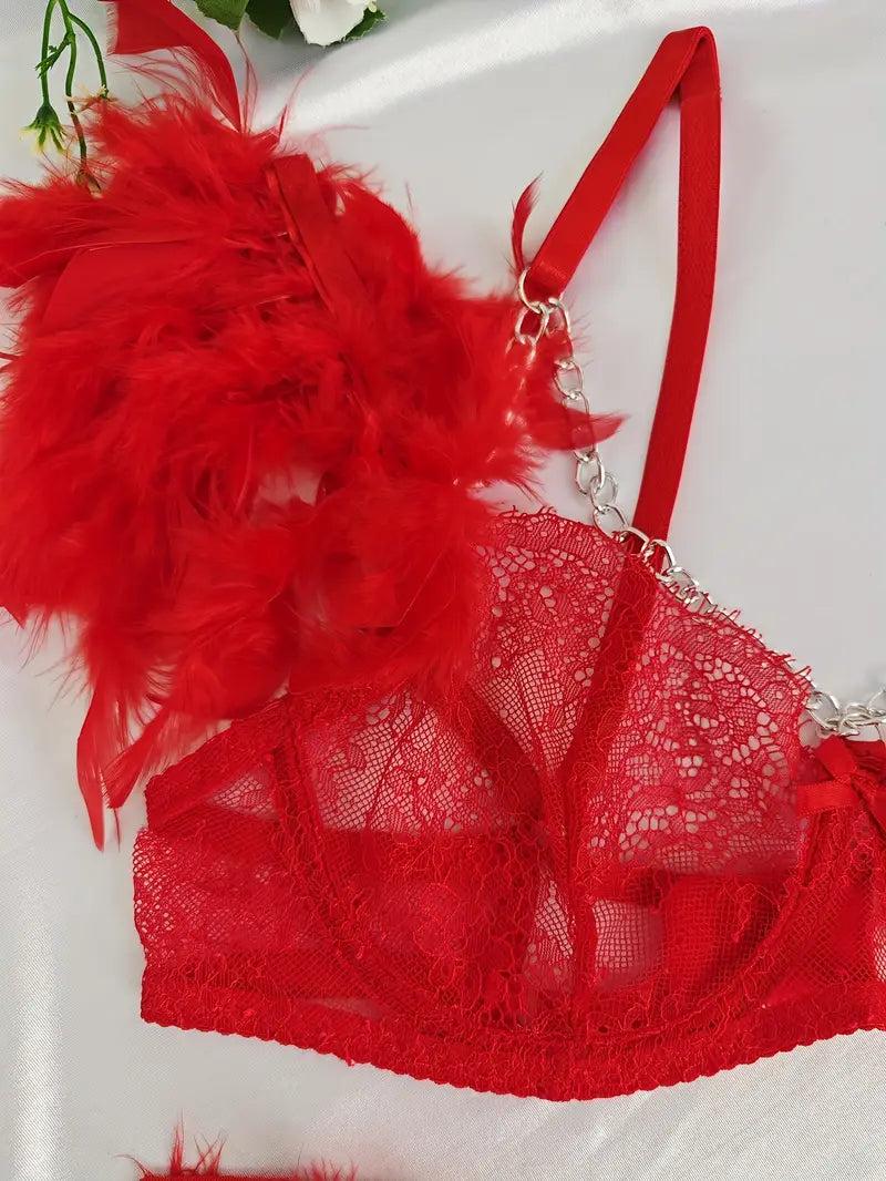 Ensemble lingerie élégante pour femmes, ornée de délicate dentelle et de détails en plumes transparentes