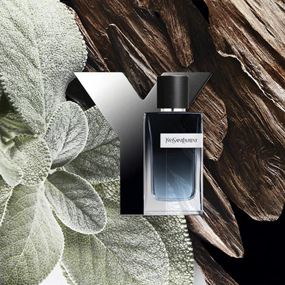 Yves Saint Laurent Y Eau de Parfum pour Homme